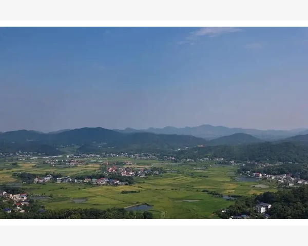 中医视角下，揭秘化痰性扁桃体症状，告诉你如何应对！